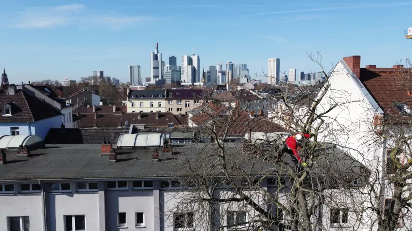 Frankfurt im Hintergrund