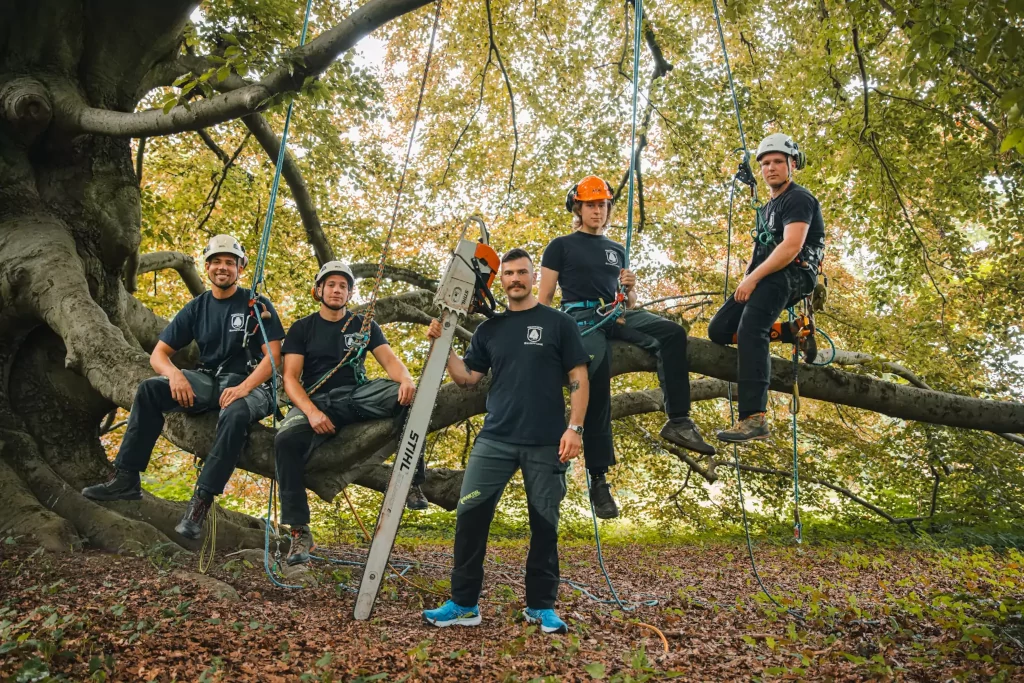 Baumpflege Redwood Team